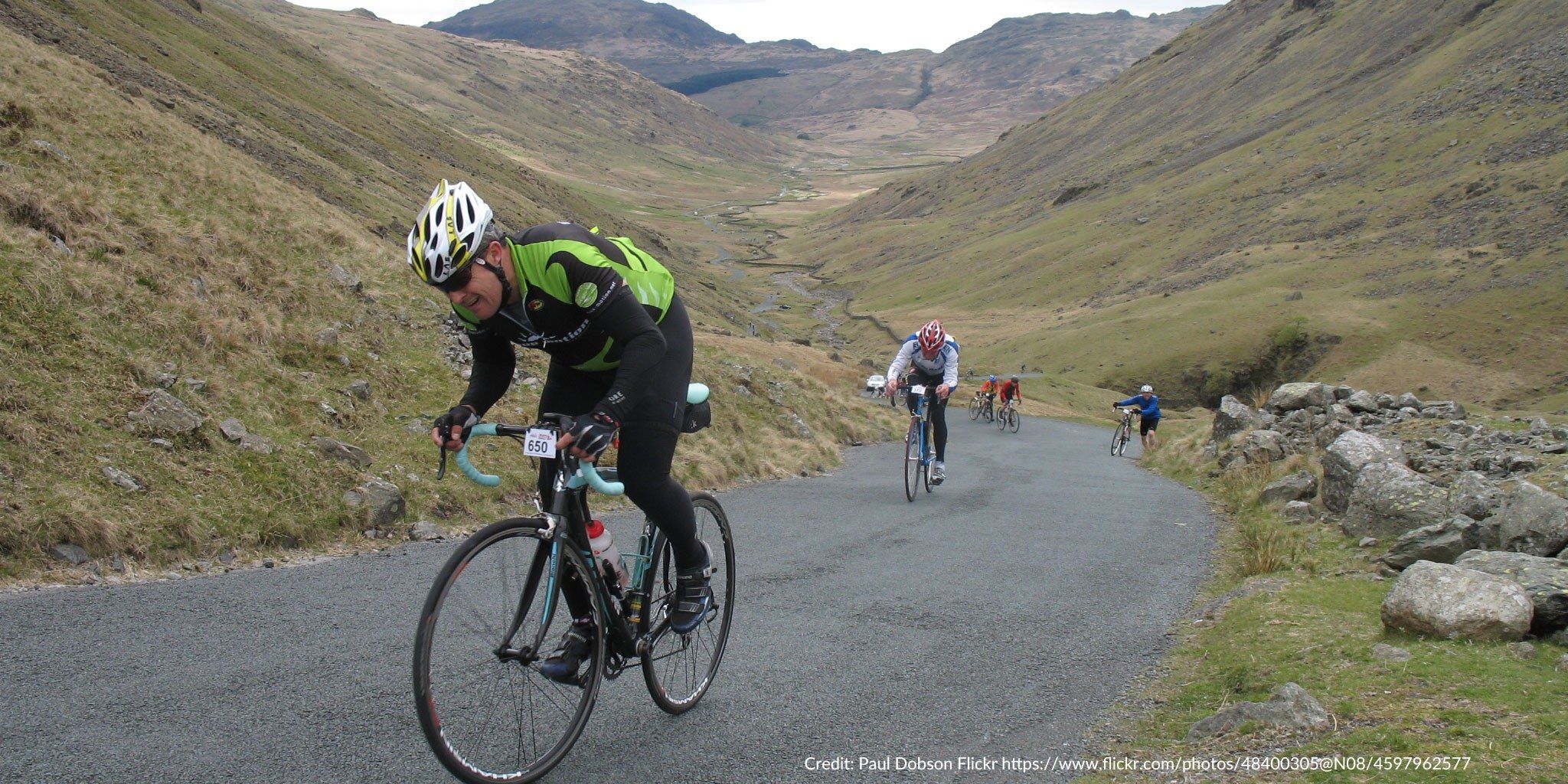 the fred whitton